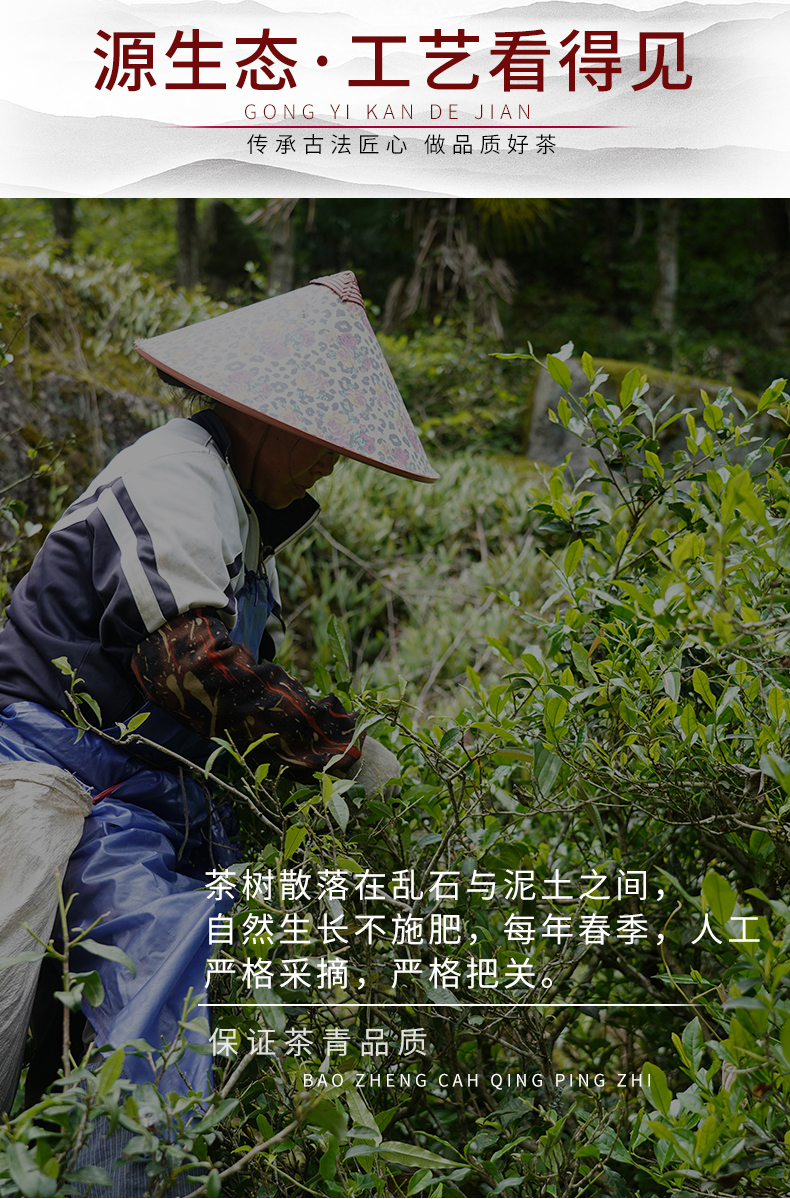 未标题-2_04.jpg