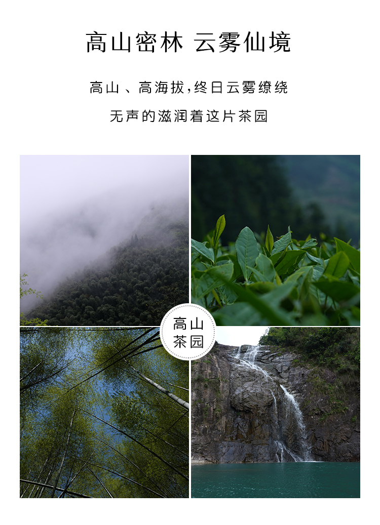 未标题-1_05.jpg