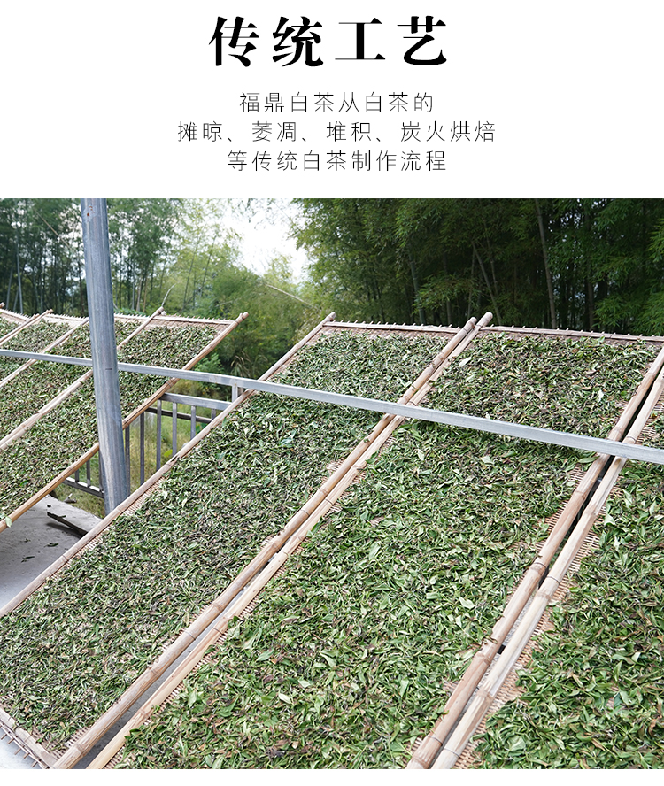 未标题-2_05.jpg