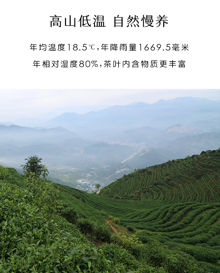 未标题-1_04.jpg