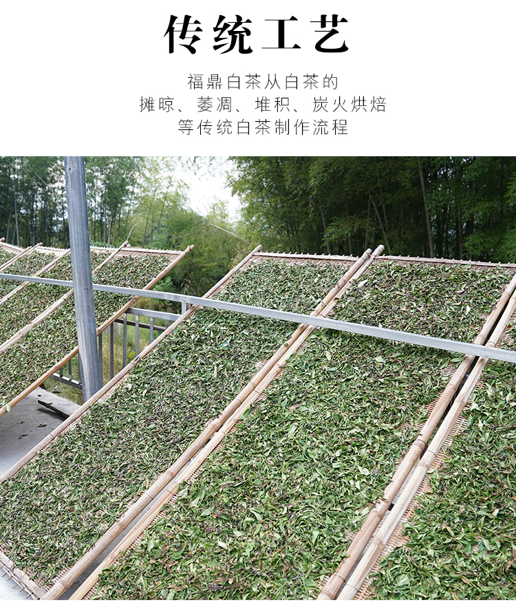 未标题-1_05.jpg