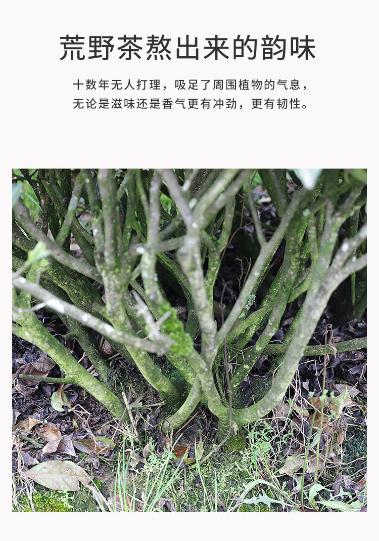 未标题-1_03.jpg