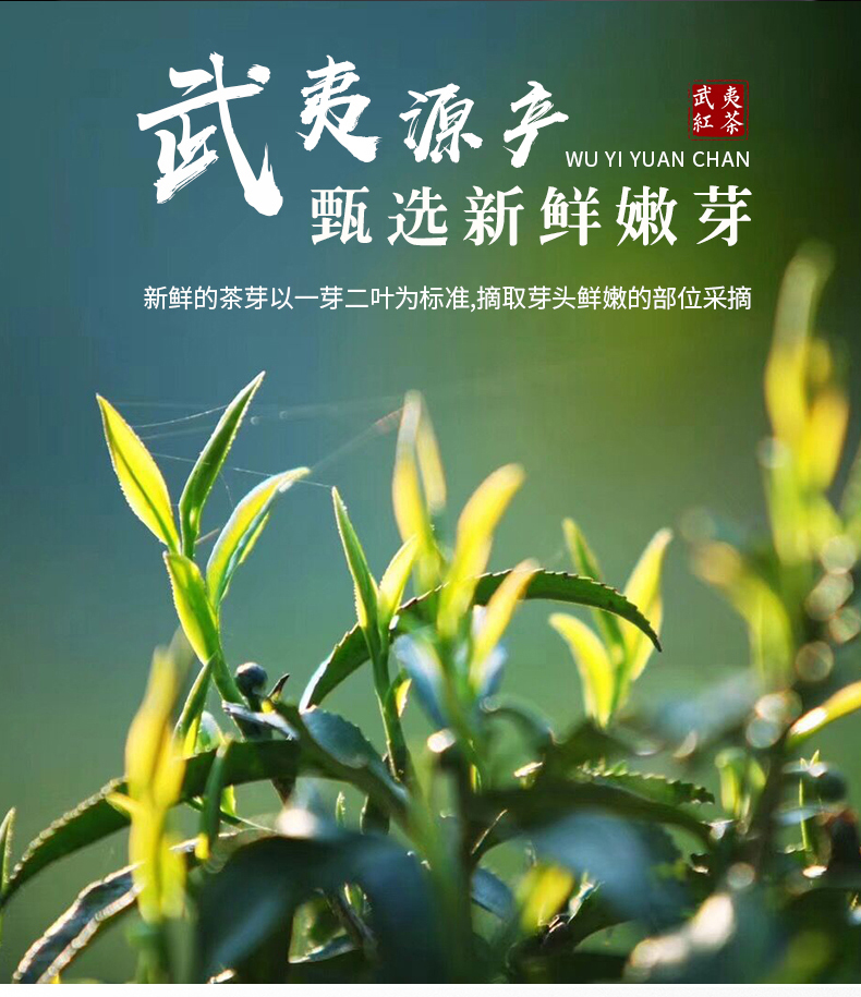 未标题-2_03.jpg