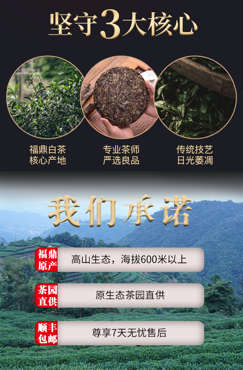 未标题-1_02.jpg