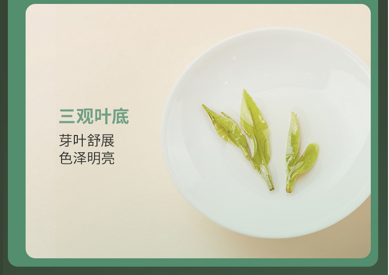 未标题-1_06.jpg