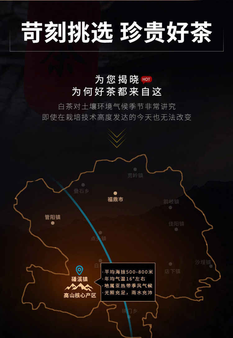 未标题-6_03.jpg
