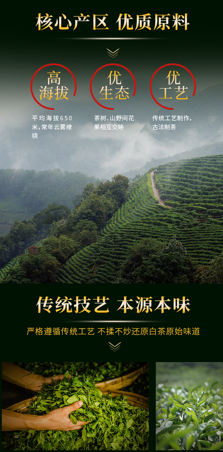 老白茶_03.jpg