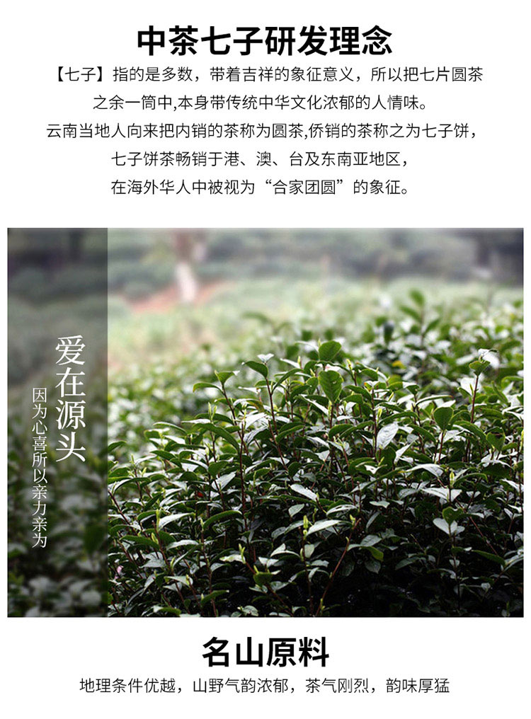 1998年中茶黄印普洱熟茶_04.jpg