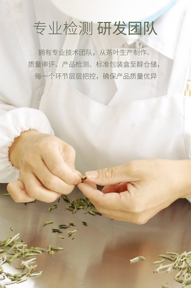 2016银针_07.jpg