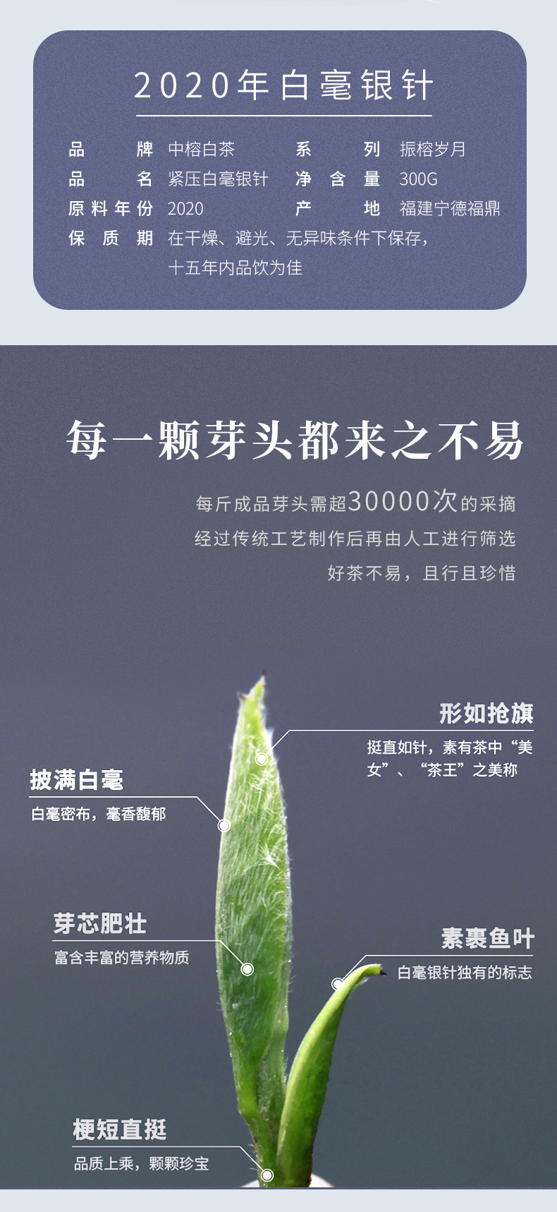 zhenrongsuiyue_02.jpg