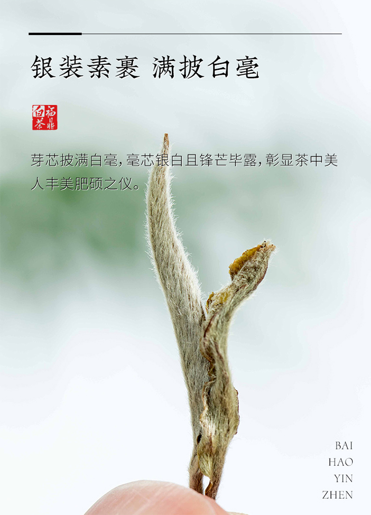 2021白毫银针_06.jpg