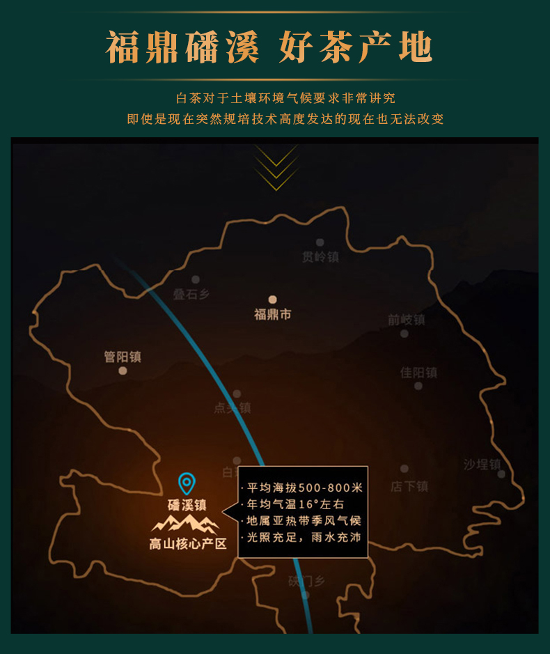 高山牡丹王_05.jpg