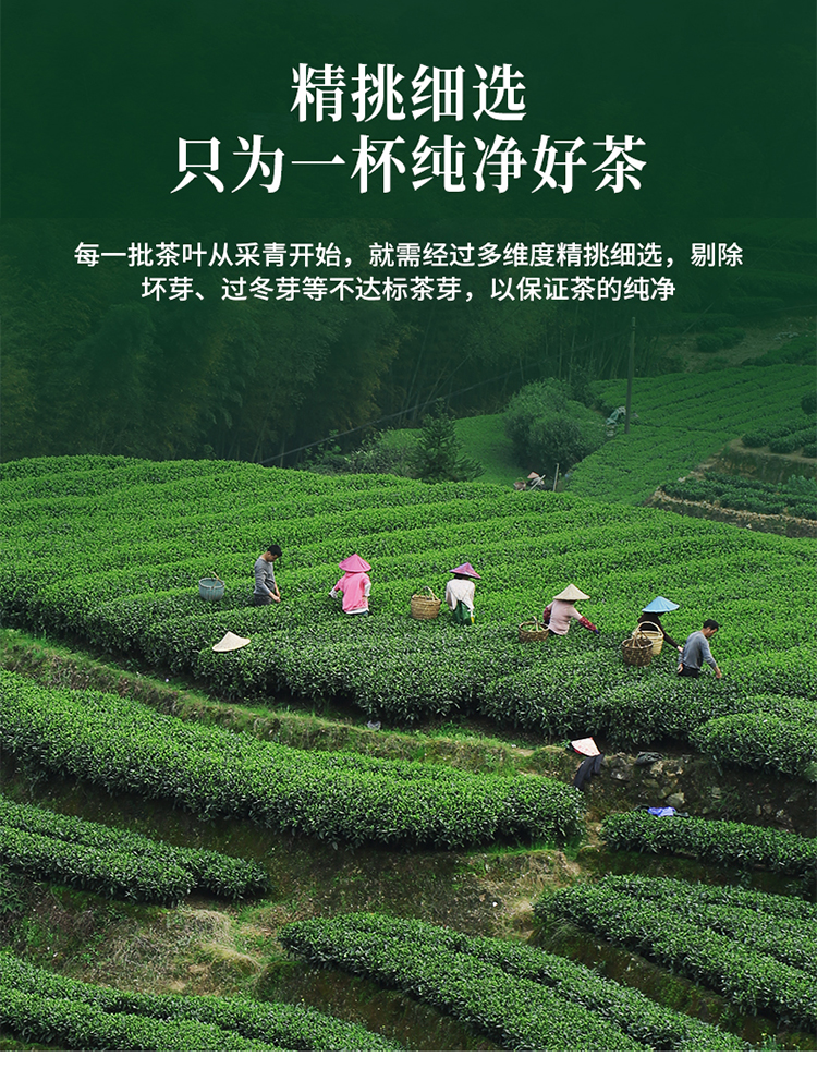 2016银针_05.jpg