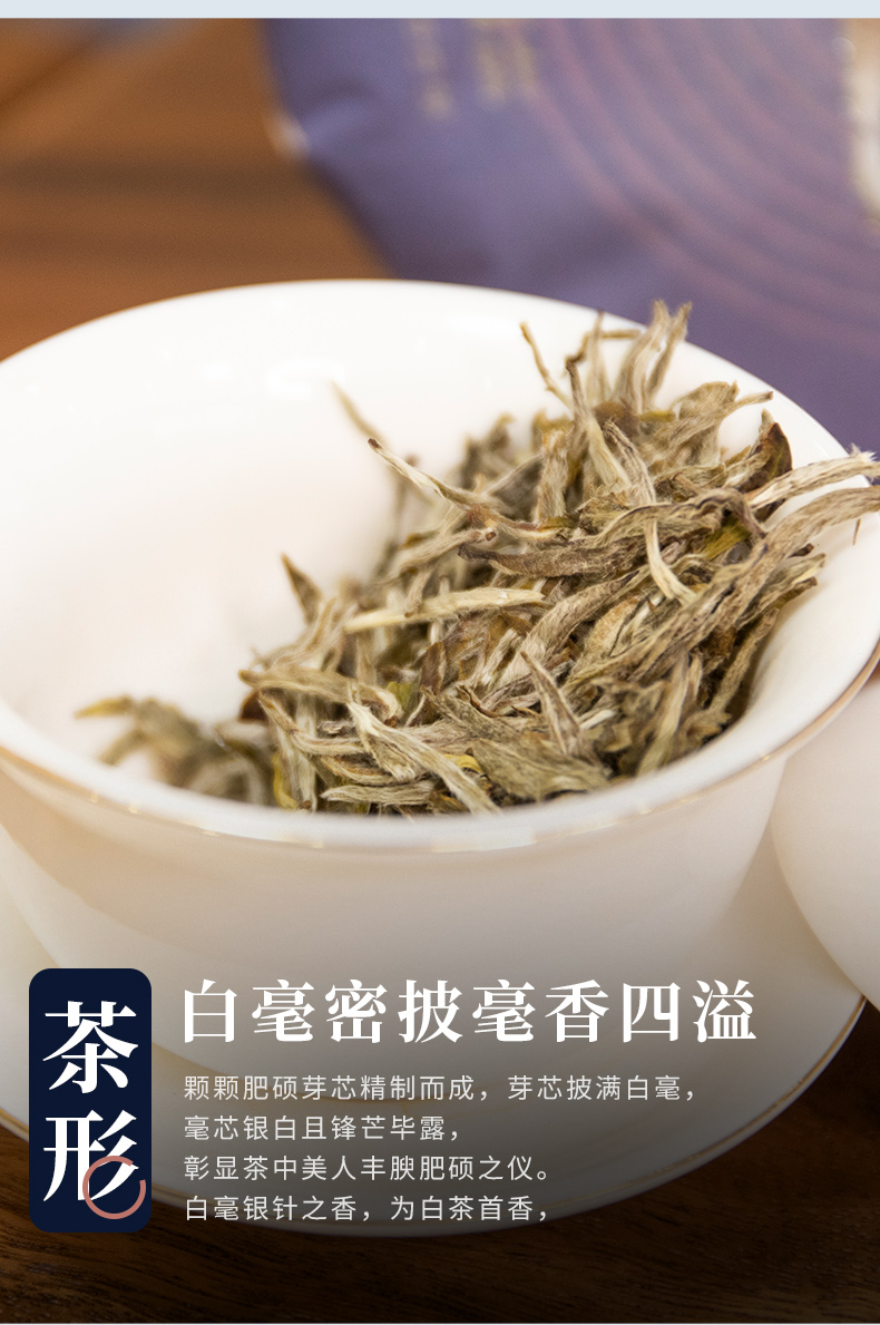 zhenrongsuiyue_04.jpg