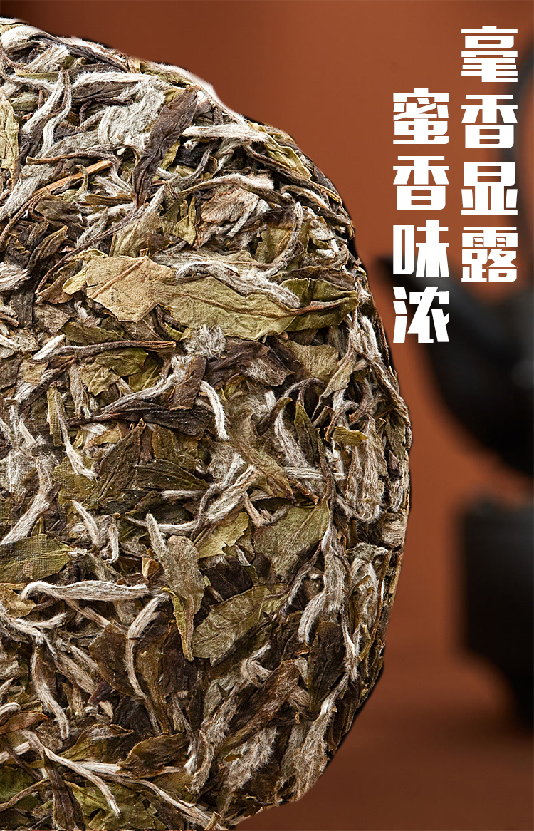 未标题-3_02.jpg