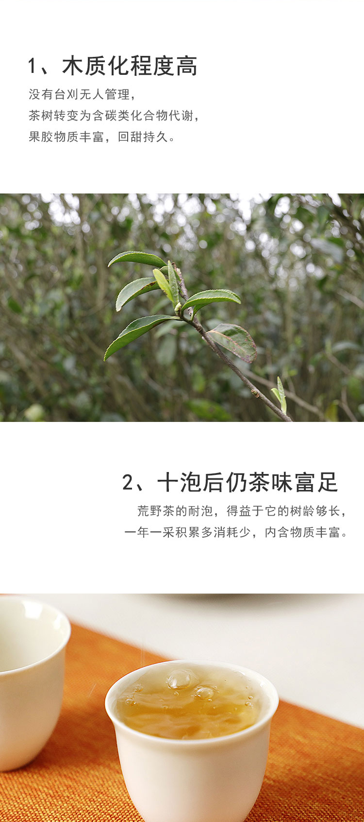 未标题-1_07.jpg
