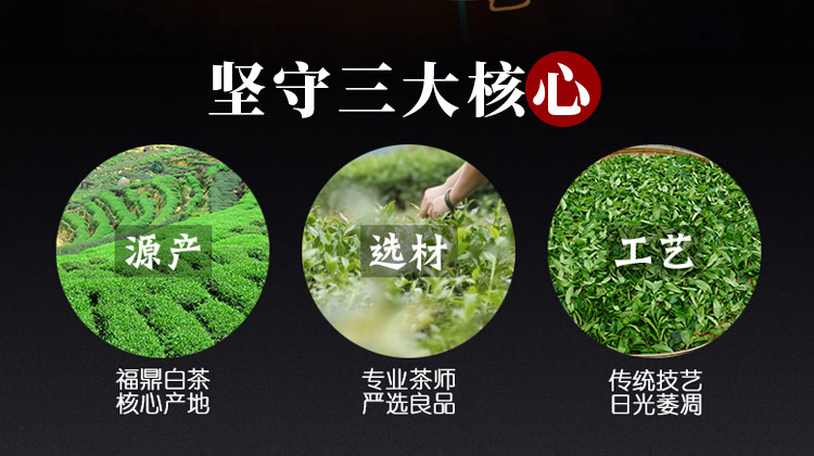 未标题-6_04.jpg