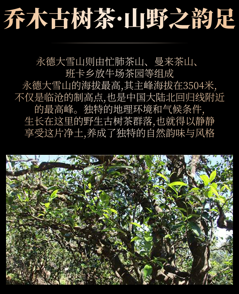 未标题-1_05.jpg