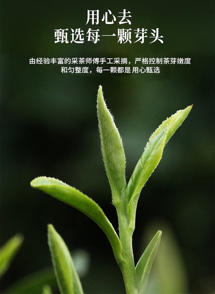 2016银针_04.jpg