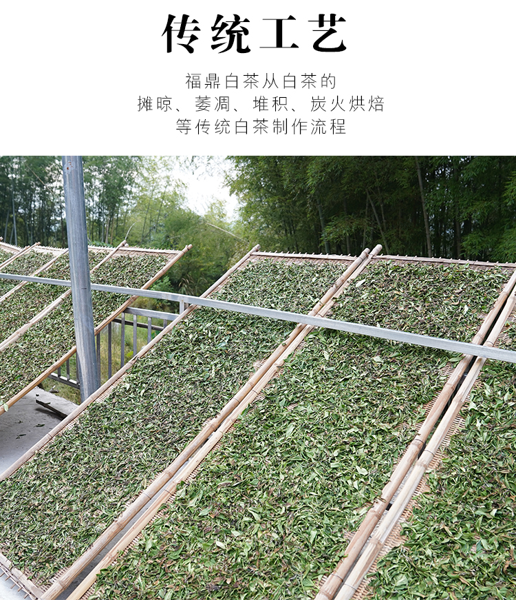 未标题-3_05.jpg