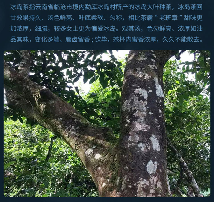 冰岛_15.jpg