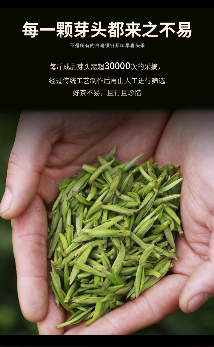 未标题-6_05.jpg