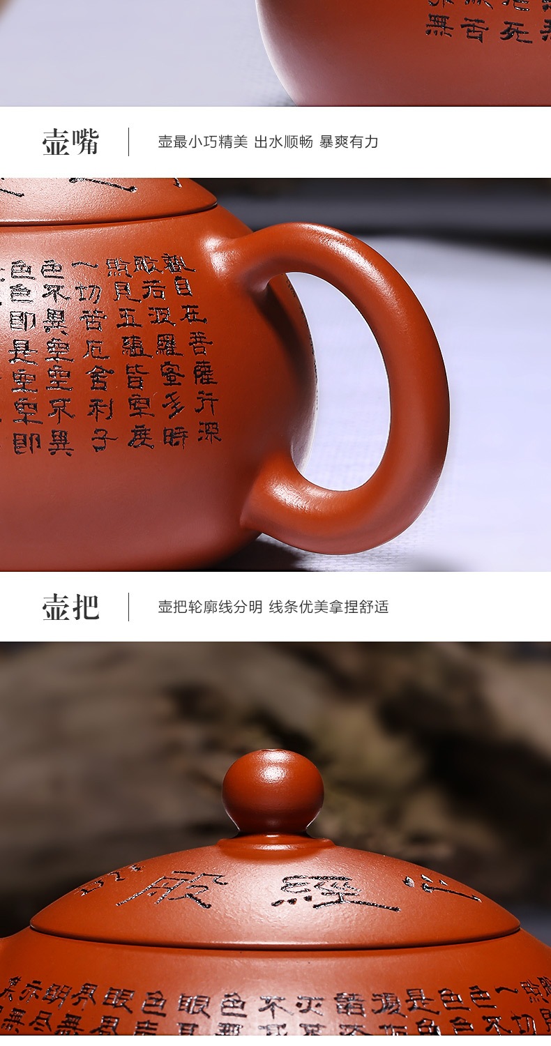 20190604_105428_028.jpg