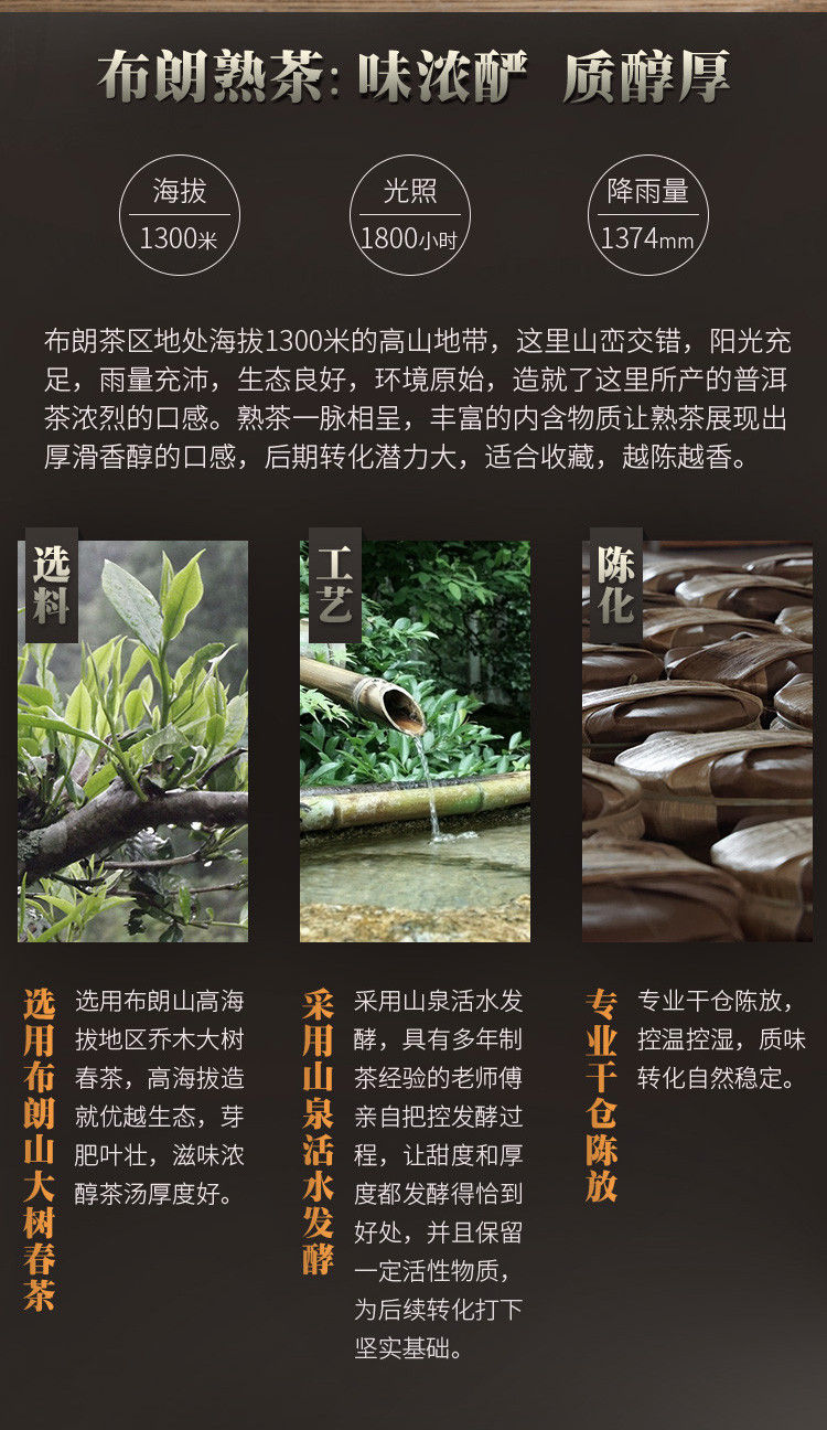 piccpicc大成_02.jpg