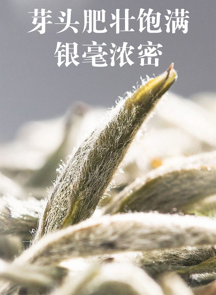 未标题-6_02.jpg
