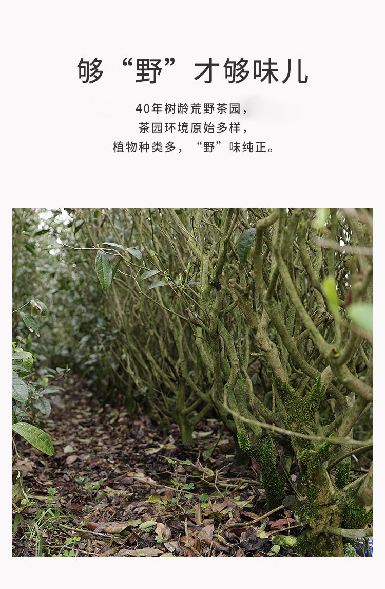 未标题-1_02.jpg