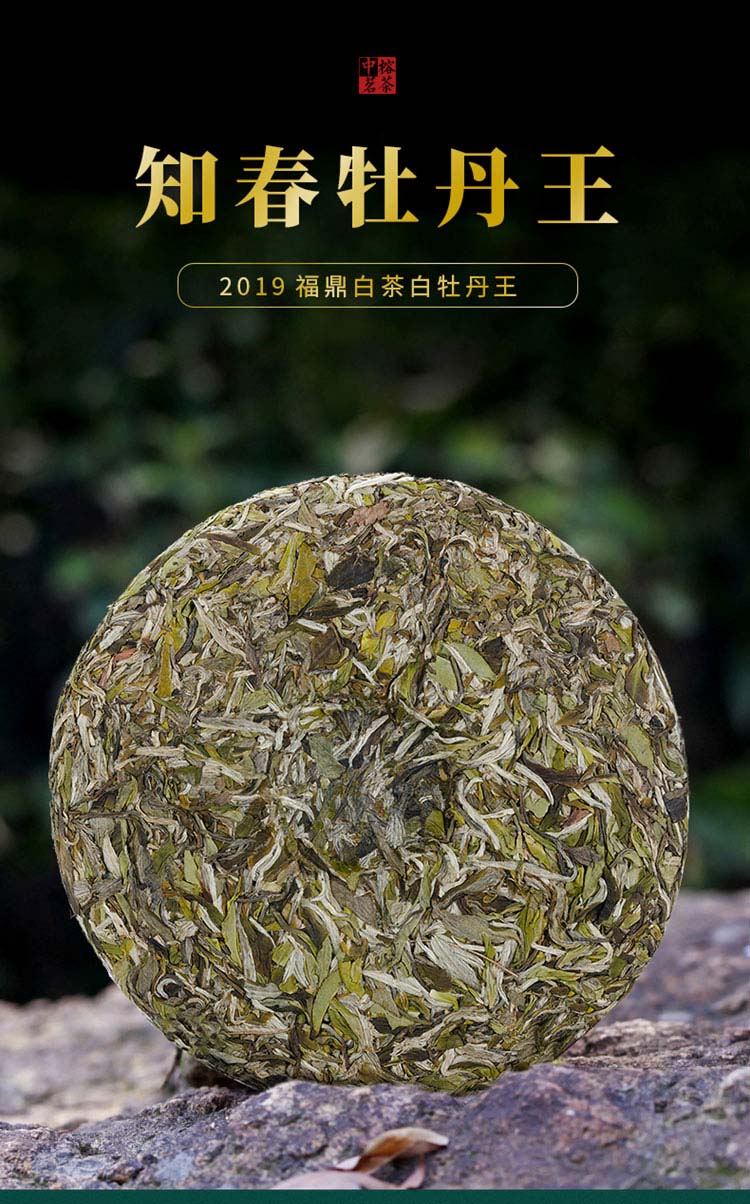 知春牡丹王3_01.jpg