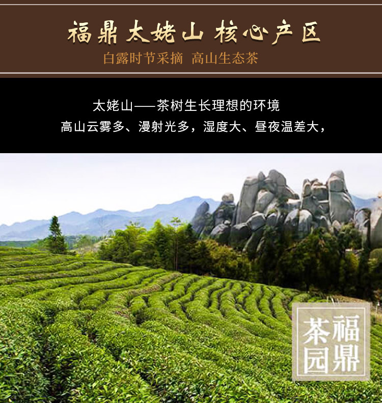 白露茶_03.jpg
