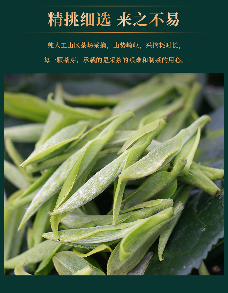 高山牡丹王_07.jpg