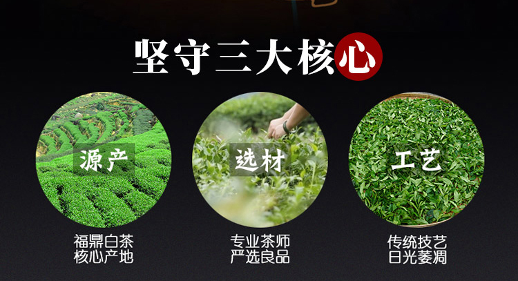 未标题-2_05.jpg