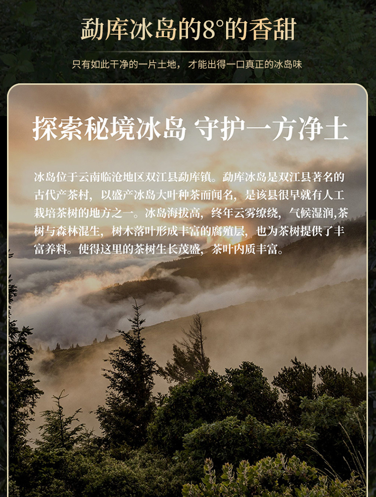 小冰岛普尔_05.jpg