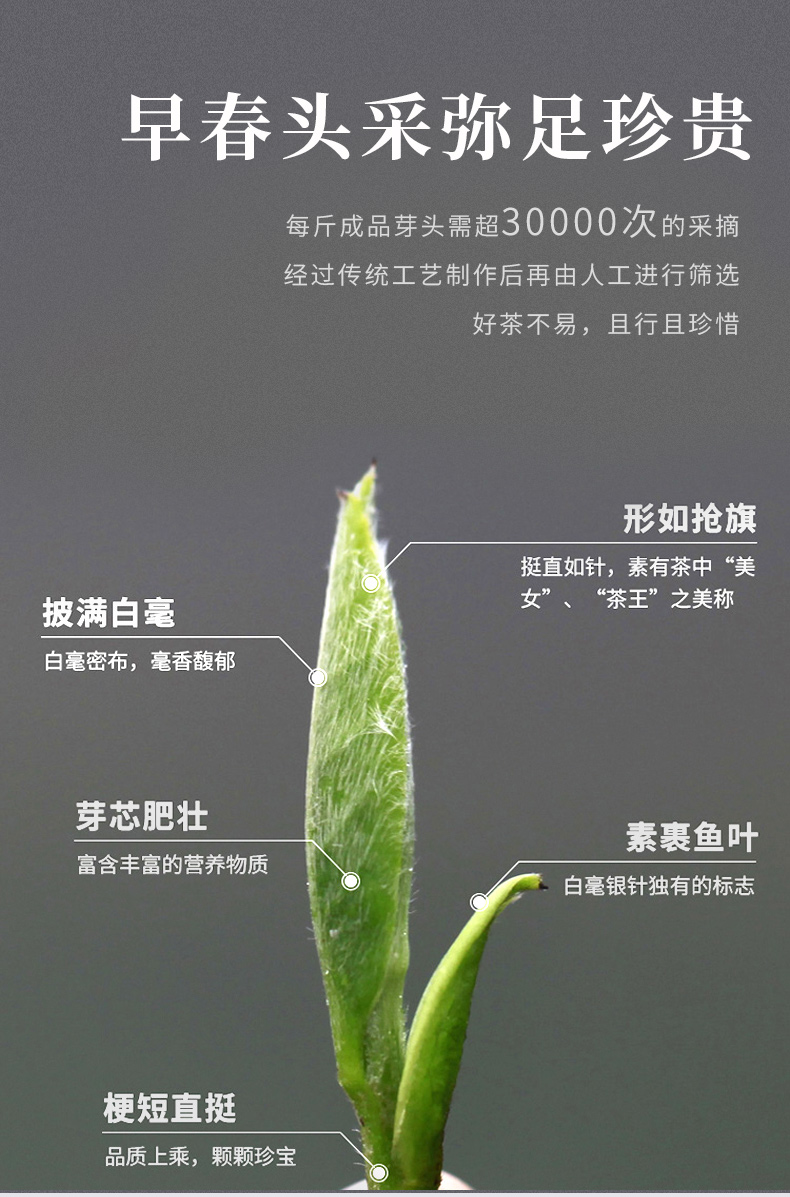 06.08振荣岁月_03.jpg
