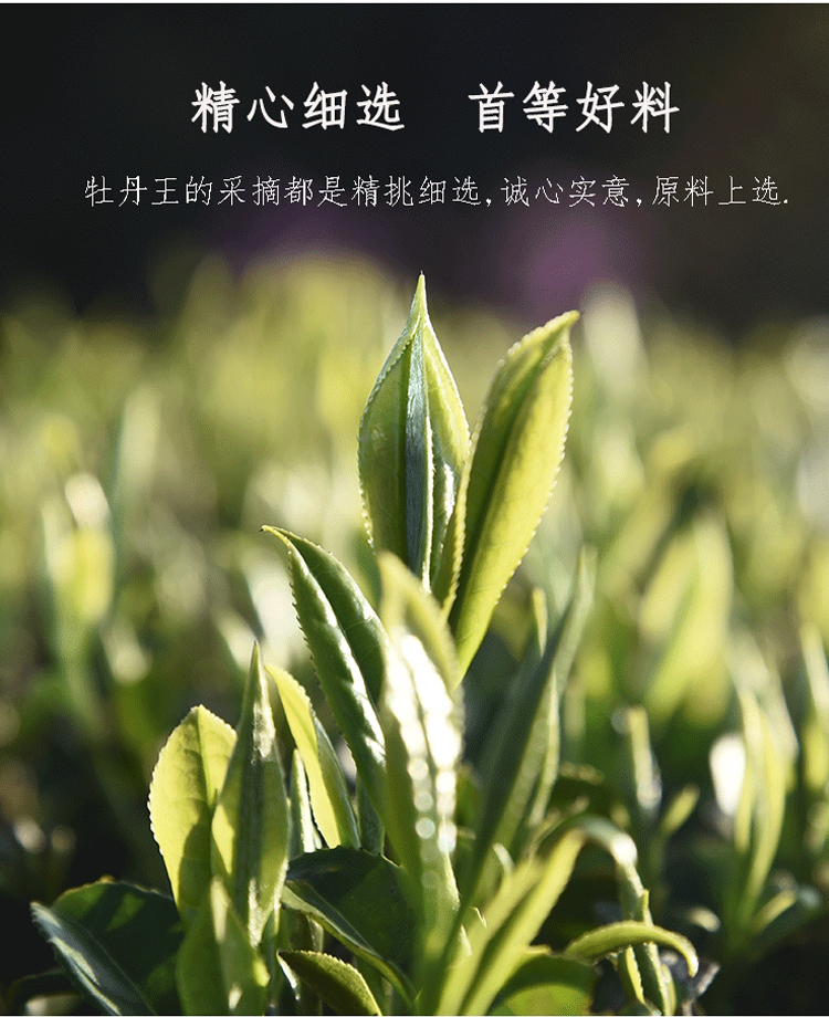 未标题-1_05.jpg
