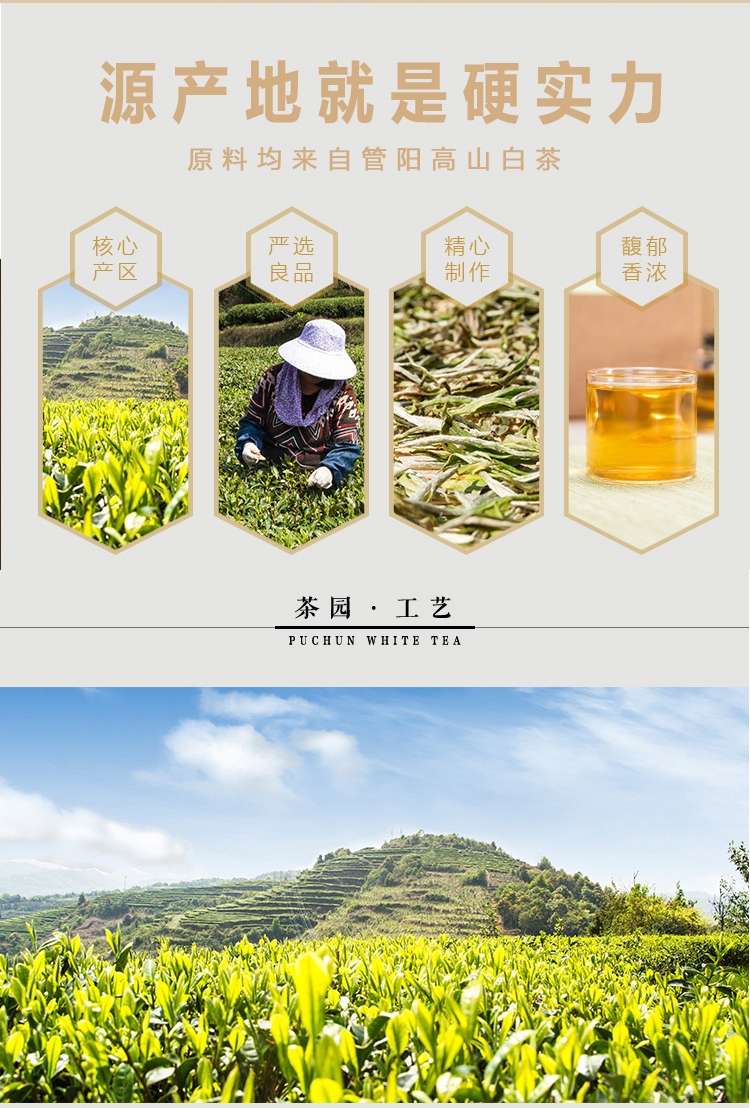2018春茶白牡丹_04.jpg