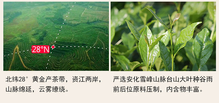 黑茶详情_05.jpg