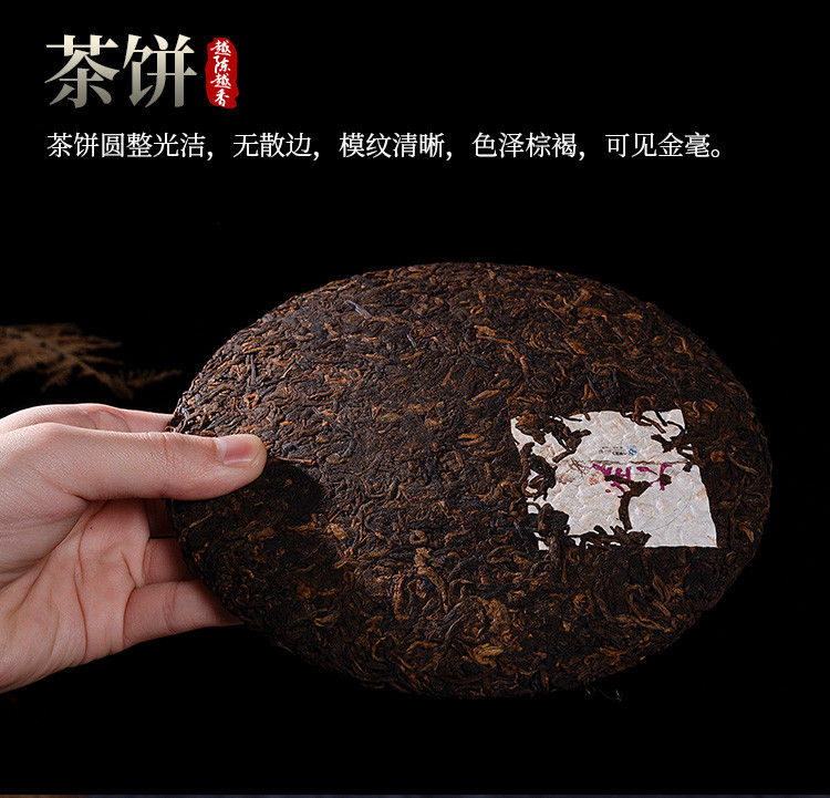 piccpicc大成_06.jpg