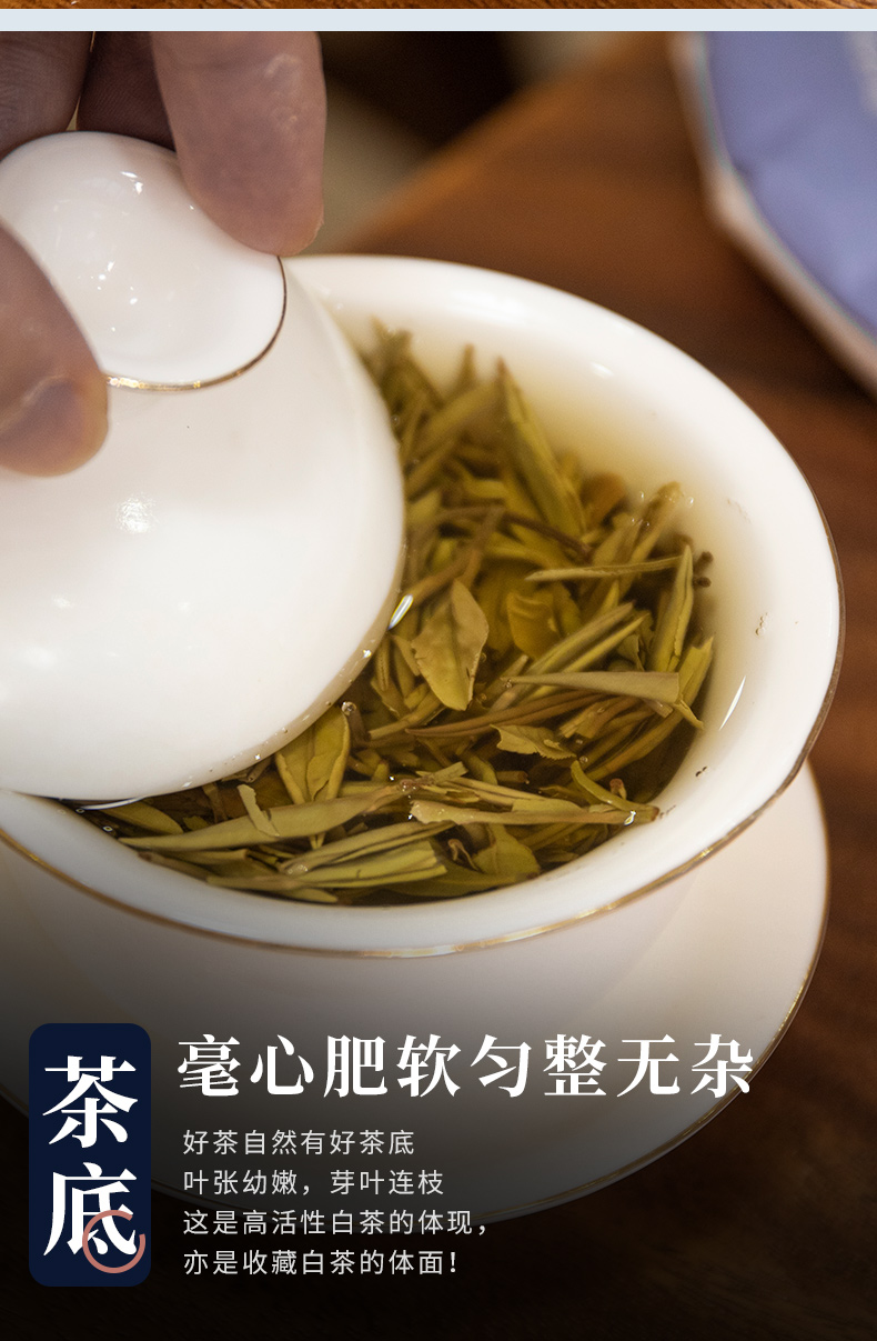 zhenrongsuiyue_06.jpg