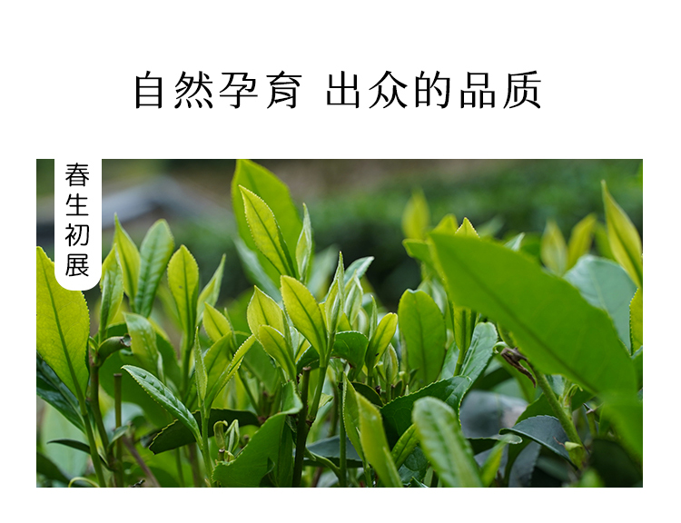 未标题-1_06.jpg