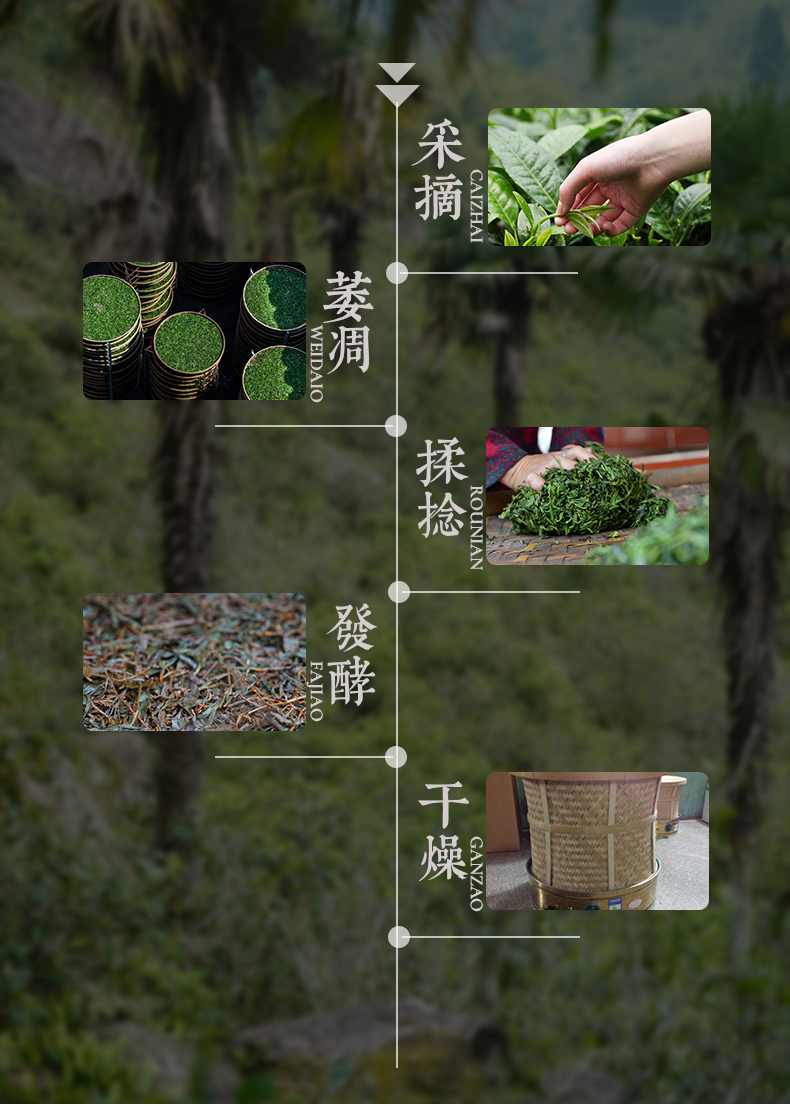 未标题-2_05.jpg