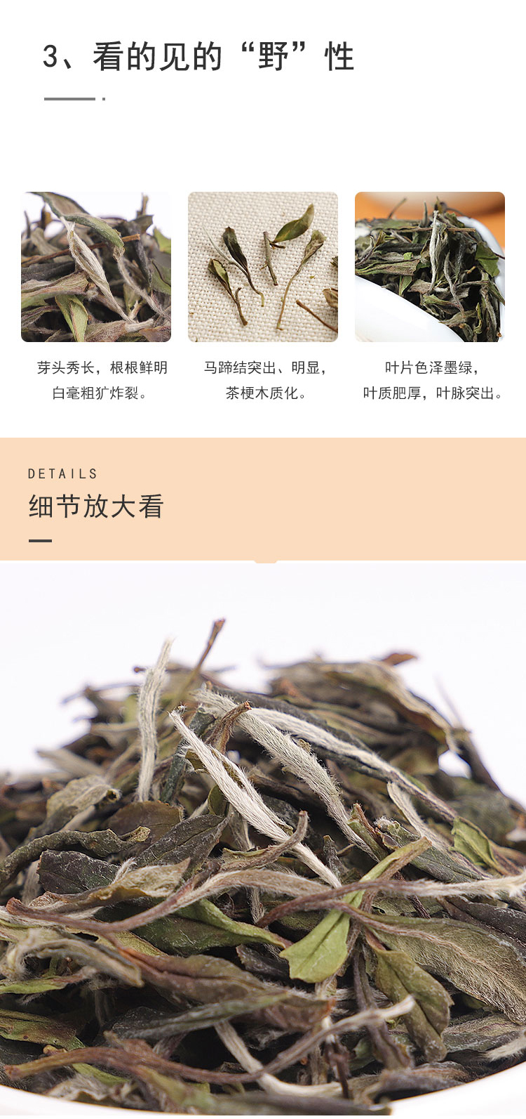 未标题-1_08.jpg