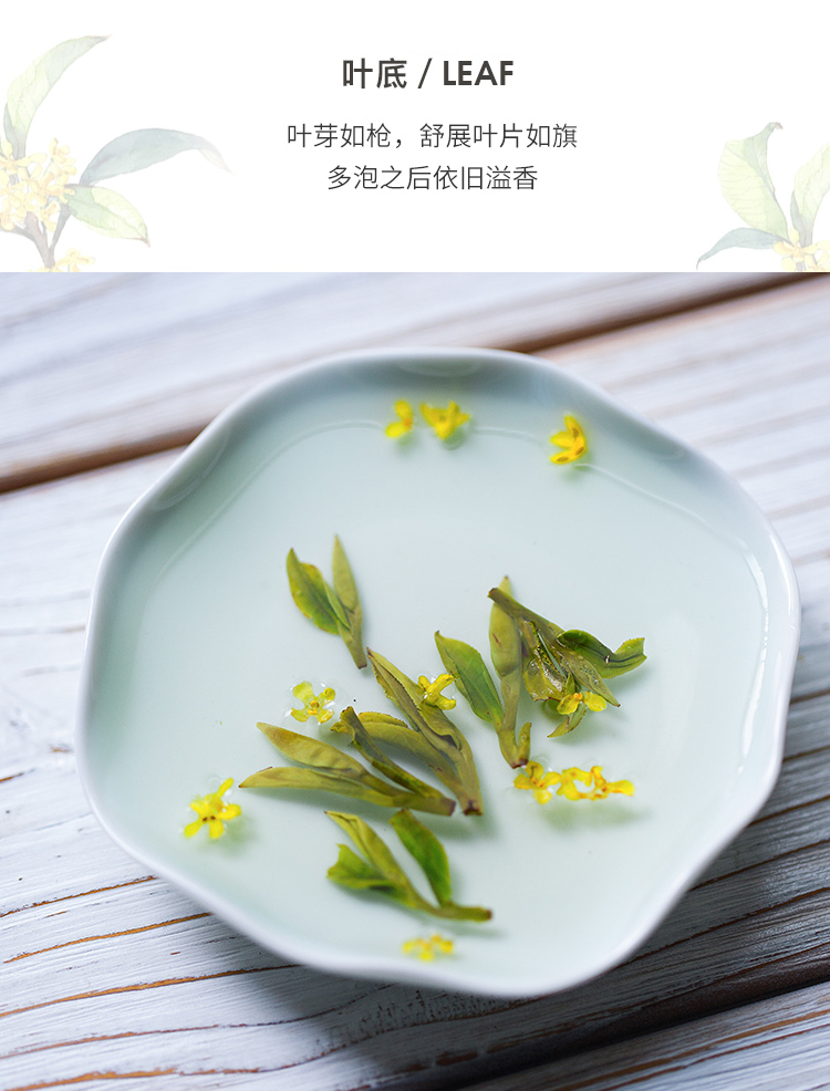 桂华龙井_10.jpg