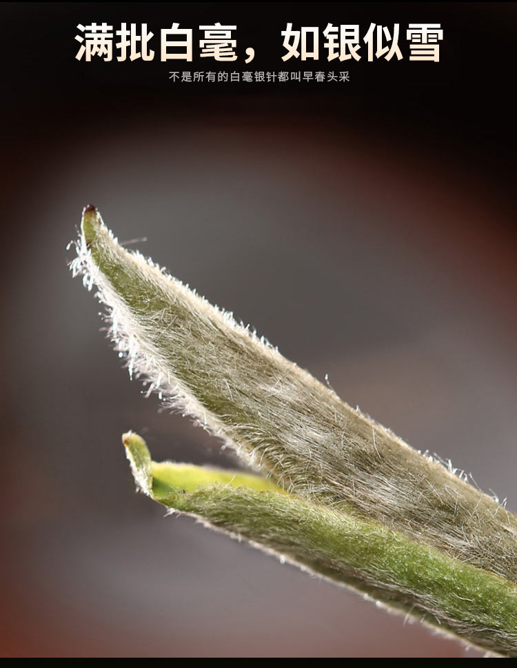 白茶详情页_05.jpg