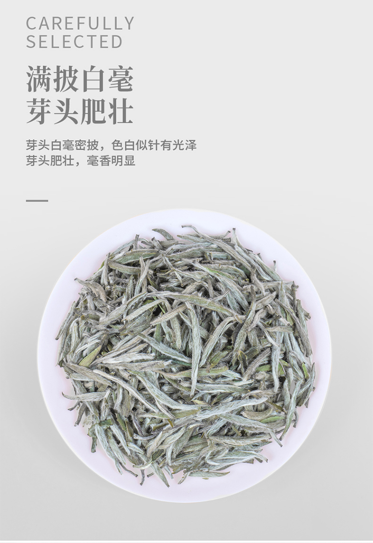 2016银针_08.jpg