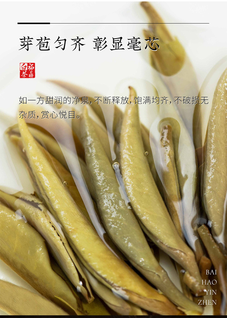 2021白毫银针_08.jpg
