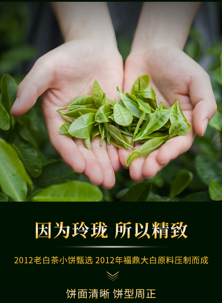 老白茶_04.jpg