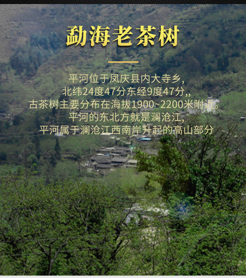 未标题-1_02.jpg